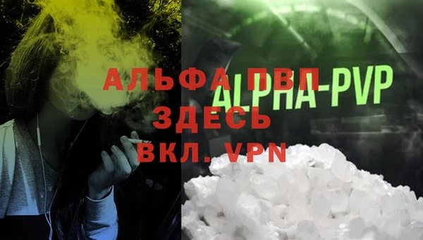 apvp Богданович